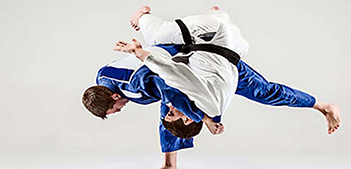 judo11
